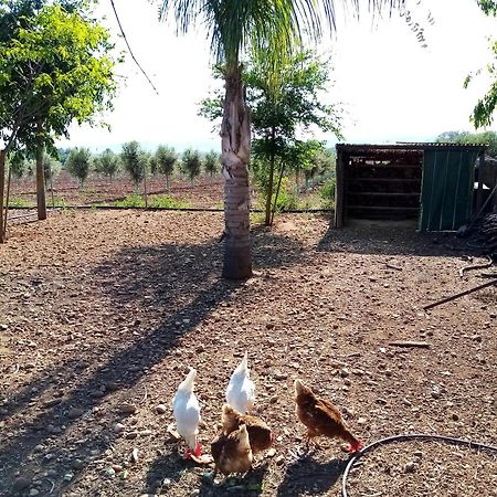 Casa Rural Finca Las Tejoneras Bornos Kültér fotó