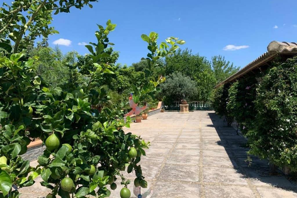 Casa Rural Finca Las Tejoneras Bornos Kültér fotó