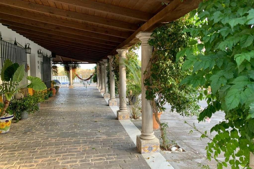 Casa Rural Finca Las Tejoneras Bornos Kültér fotó