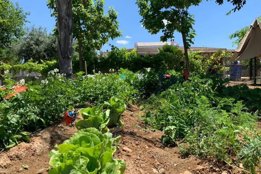 Casa Rural Finca Las Tejoneras Bornos Kültér fotó