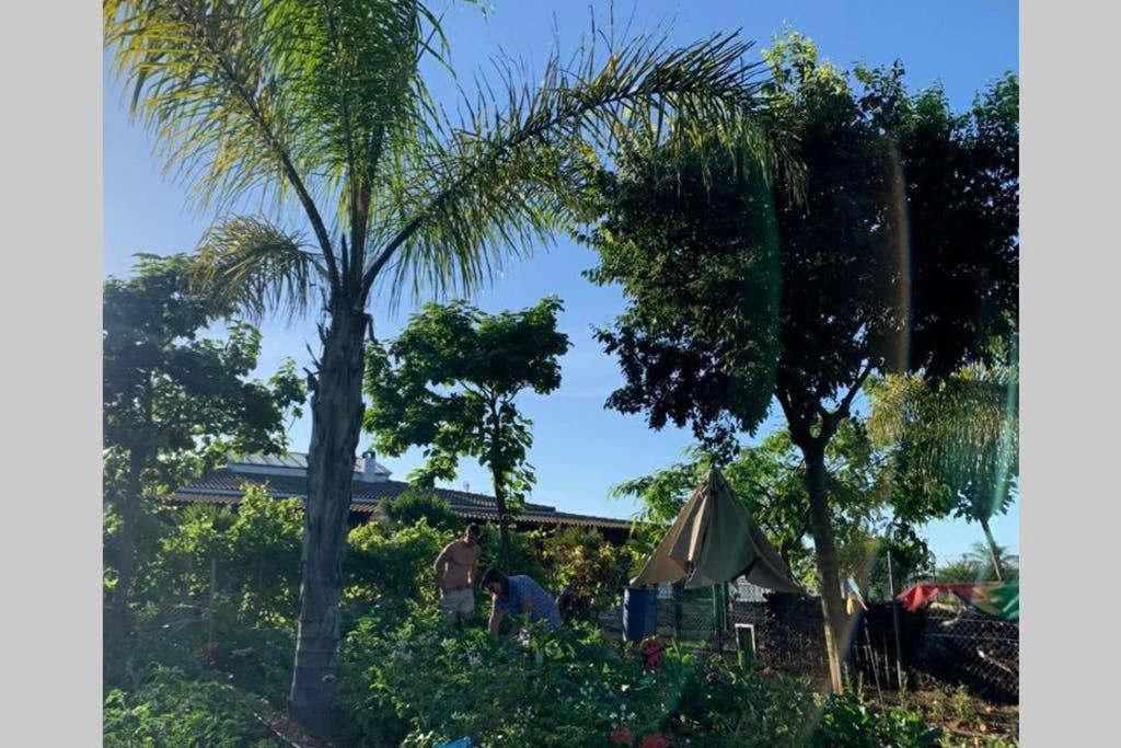Casa Rural Finca Las Tejoneras Bornos Kültér fotó