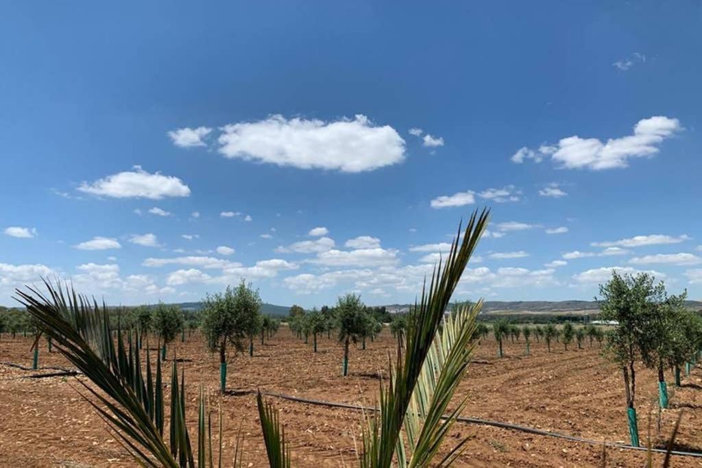 Casa Rural Finca Las Tejoneras Bornos Kültér fotó