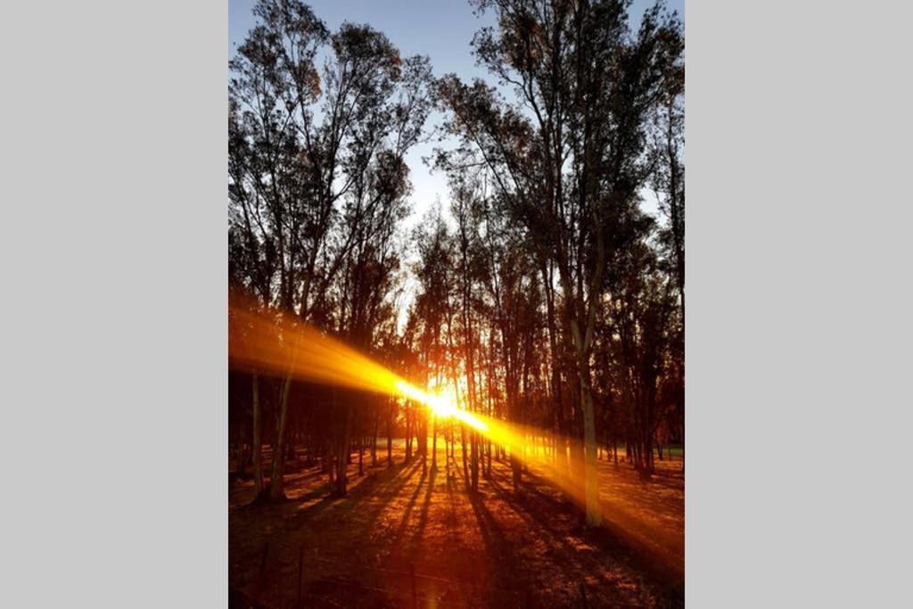 Casa Rural Finca Las Tejoneras Bornos Kültér fotó