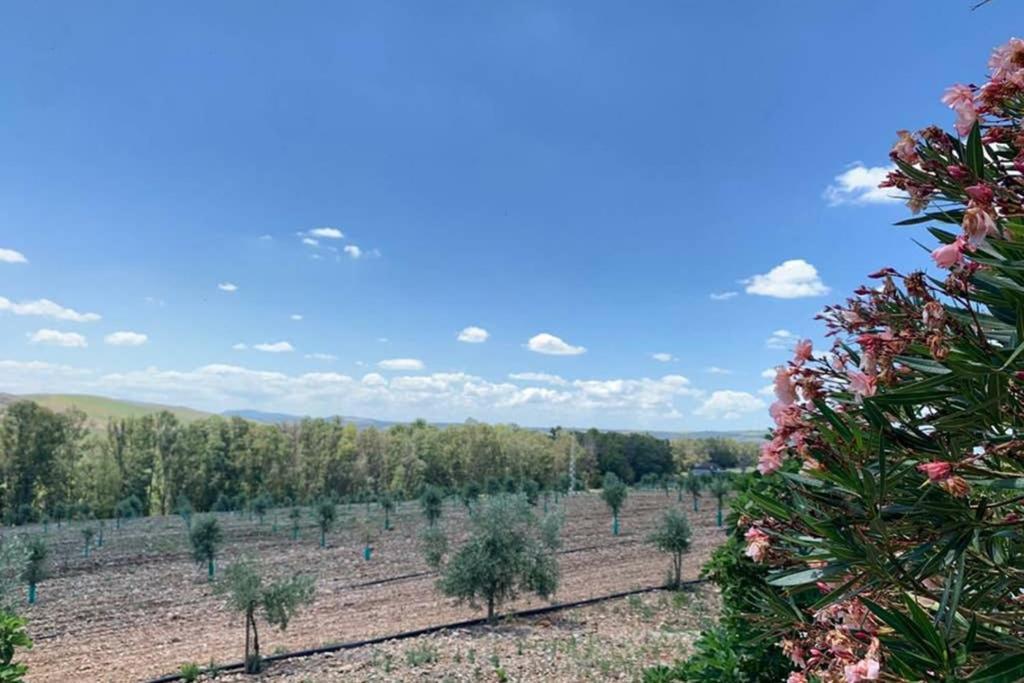 Casa Rural Finca Las Tejoneras Bornos Kültér fotó