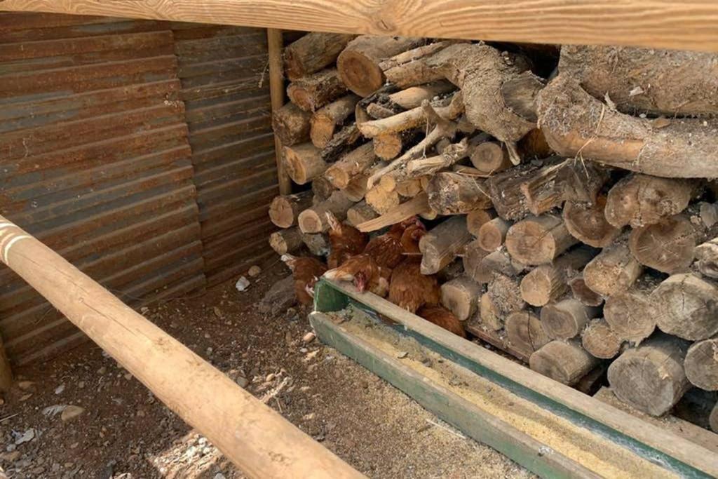 Casa Rural Finca Las Tejoneras Bornos Kültér fotó