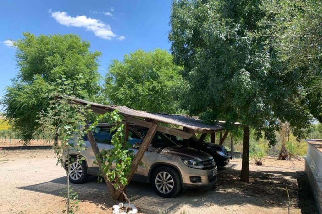 Casa Rural Finca Las Tejoneras Bornos Kültér fotó