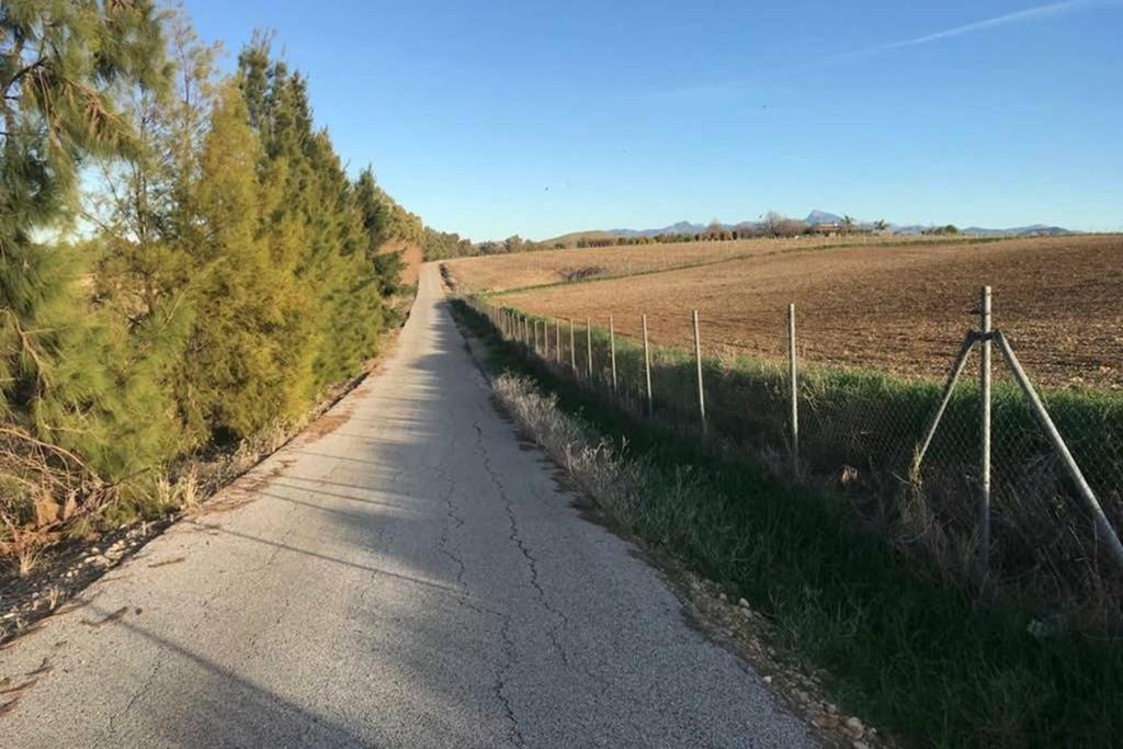 Casa Rural Finca Las Tejoneras Bornos Kültér fotó