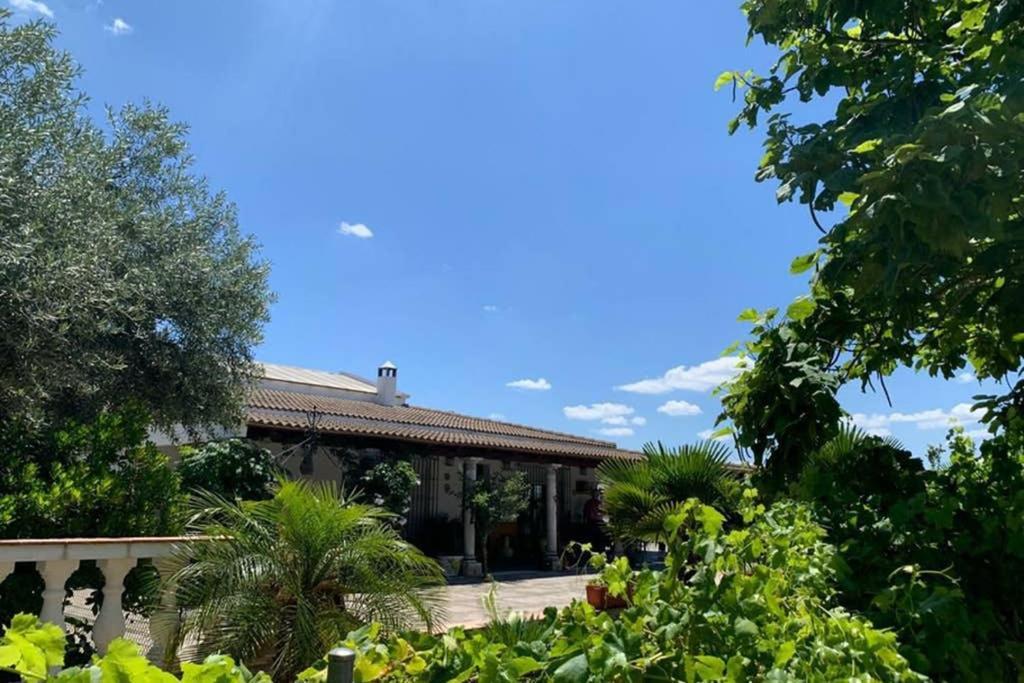 Casa Rural Finca Las Tejoneras Bornos Kültér fotó