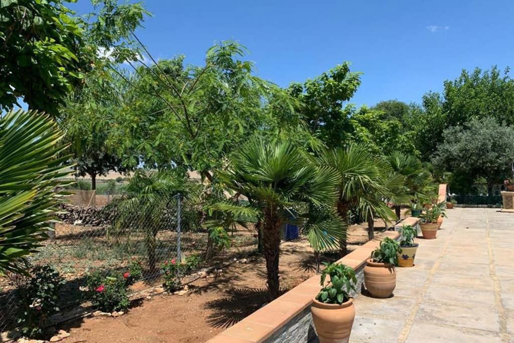 Casa Rural Finca Las Tejoneras Bornos Kültér fotó