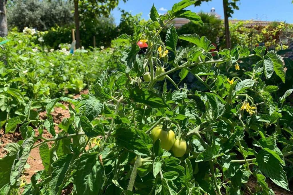 Casa Rural Finca Las Tejoneras Bornos Kültér fotó