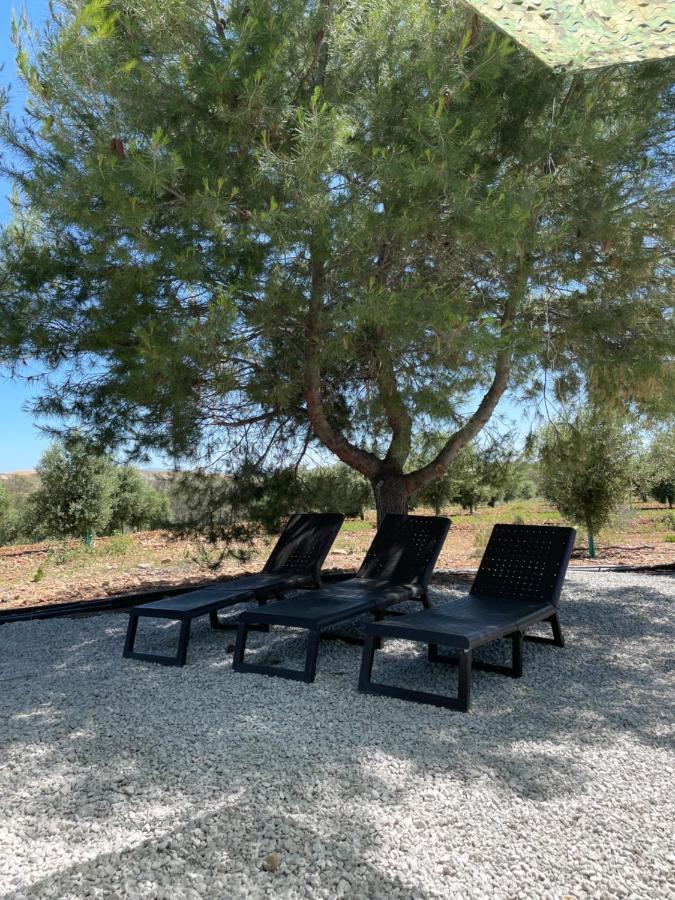 Casa Rural Finca Las Tejoneras Bornos Kültér fotó
