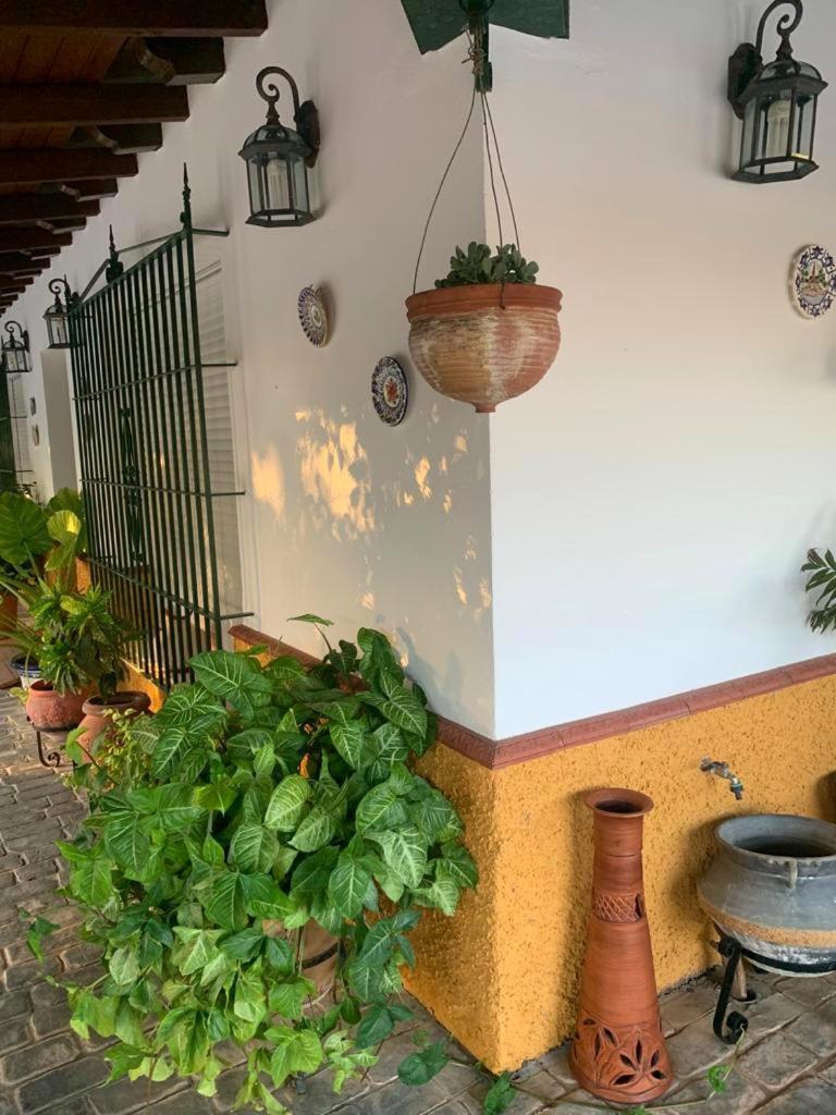Casa Rural Finca Las Tejoneras Bornos Kültér fotó