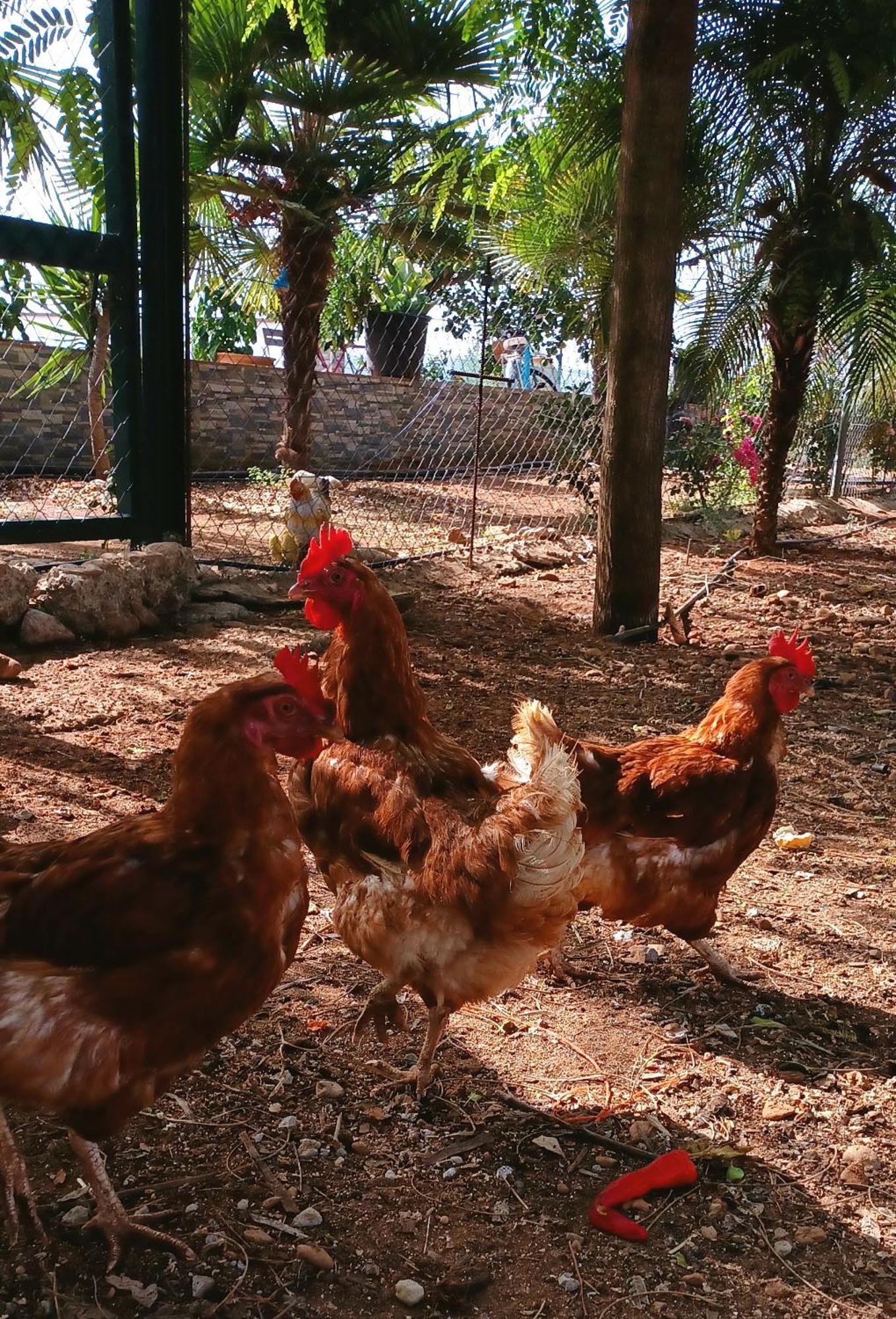 Casa Rural Finca Las Tejoneras Bornos Kültér fotó