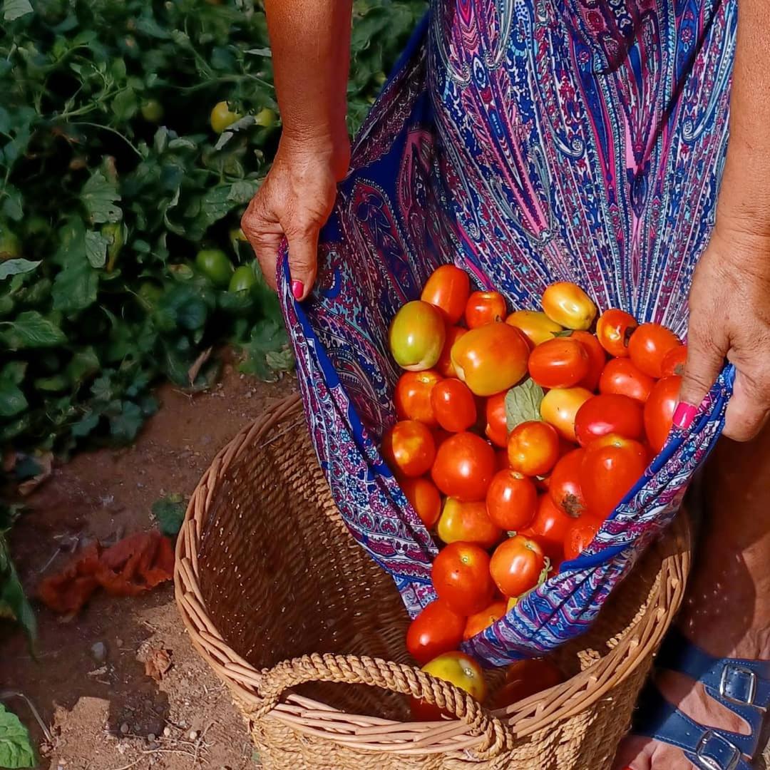 Casa Rural Finca Las Tejoneras Bornos Kültér fotó