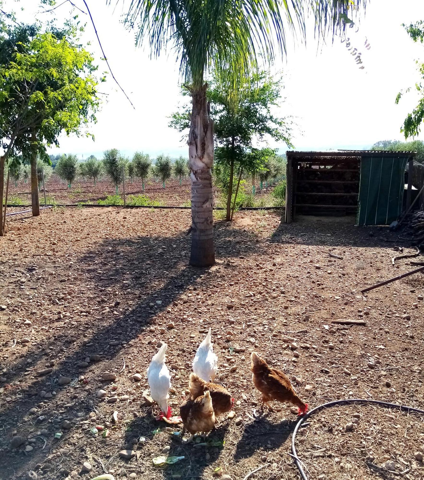 Casa Rural Finca Las Tejoneras Bornos Kültér fotó